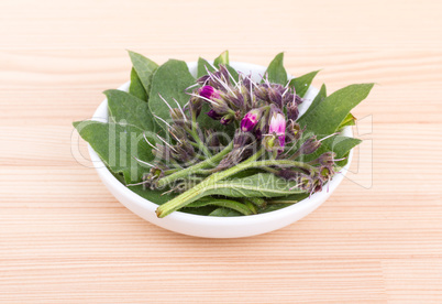 Bowl of Comfrey