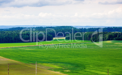 Fields and forest