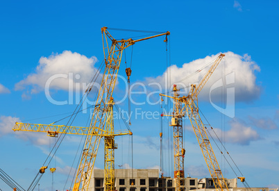 Yellow construction cranes