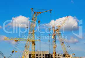 Yellow construction cranes