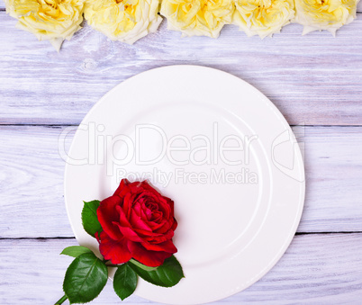 Empty white plate with a red rose