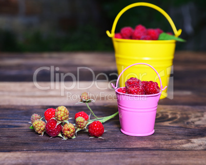 Ripe red raspberry in a bucket