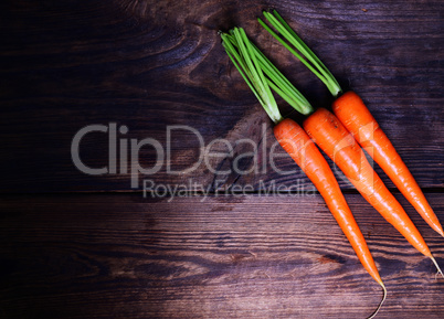 Fresh carrots on a wooden background