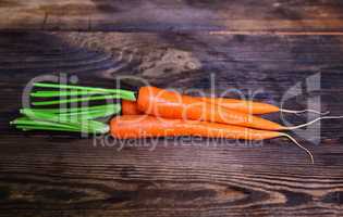 Three fresh orange carrots on a brown wooden table