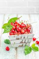 Sweet cherry on white background closeup