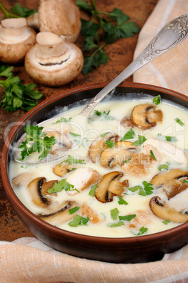 Soup puree from of champignons and chicken
