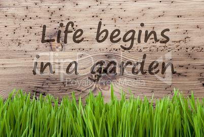 Bright Wooden Background, Gras, Quote Life Begins In A Garden