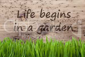 Bright Wooden Background, Gras, Quote Life Begins In A Garden