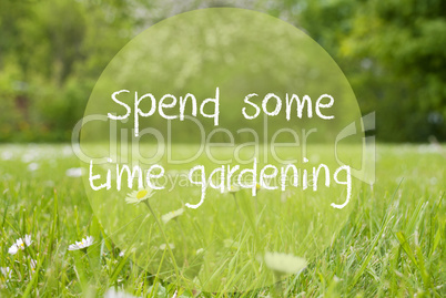 Gras Meadow, Daisy Flowers, Text Spend Some Time Gardening