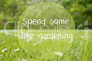 Gras Meadow, Daisy Flowers, Text Spend Some Time Gardening