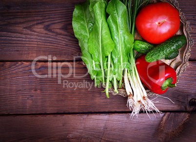 Tomato, cucumber and green onion on a copper plate