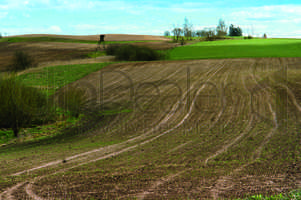 field, landscape, cultivate, plow, agriculture, to cultivate