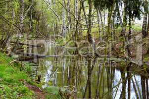 swamp, bog, marsh, mire, wetland, fen, morass, quagmire, slough, marshland