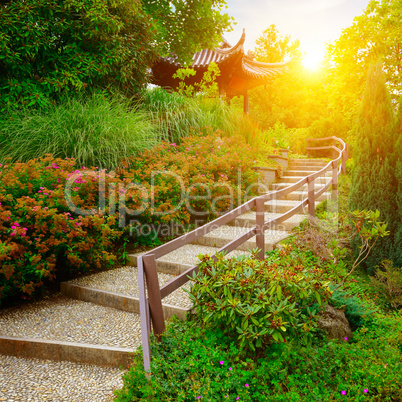 stone staircase in beautiful park at dawn