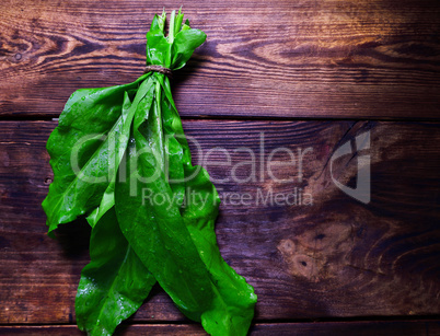 Green sorrel on a brown wooden background