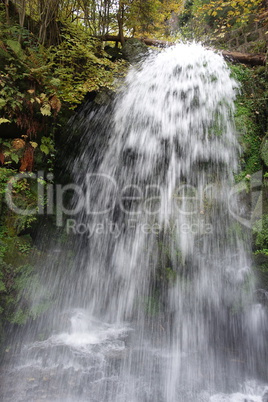 Amselfall bei Rathen