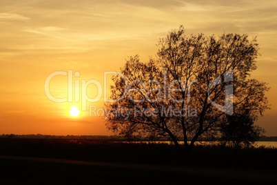 Sonnenuntergang am Bodden