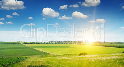 spring field and sunrise on blue sky