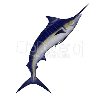 Marlin fish jump - 3D render