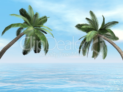 Palm trees - 3D render
