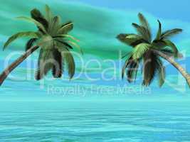 Palm trees - 3D render