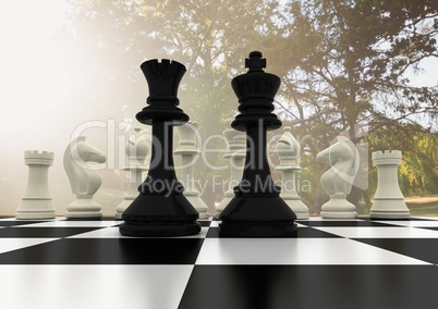 Chess pieces against blurry trees and flare