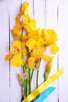 Bouquet of blooming yellow irises