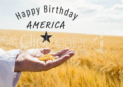 Grey fourth of July graphic against cornfield and hand holding corn