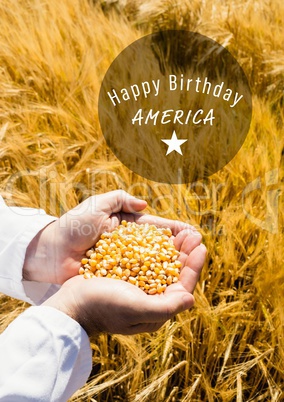 White fourth of July graphic in circle against cornfield and hands filled with corn