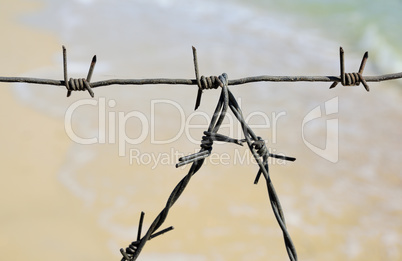 Fragment of the barbed wire fencing