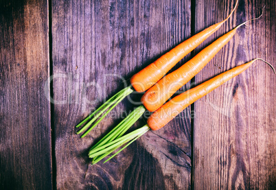 Three fresh carrots