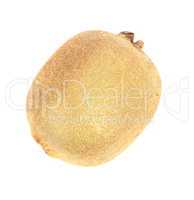 raw kiwi isolated on white