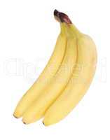 many yellow banana isolated