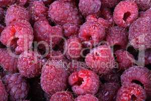 many raspberry at day