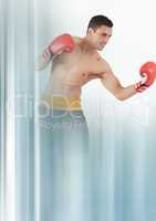 Boxer fighter man with transition