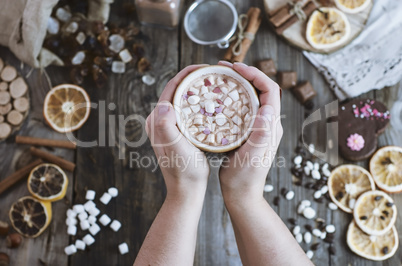 Cup of cocoa in female hands