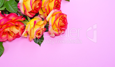 Bouquet of yellow blossoming roses