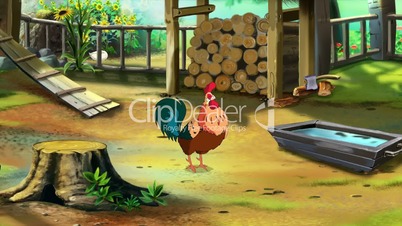 Rufous Rooster on the Farm