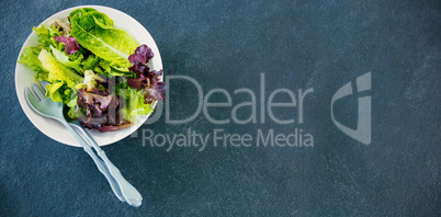 Fresh salad in bowl on stone tray