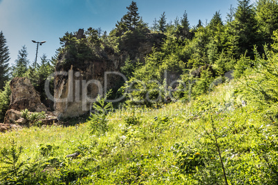 Steinach Bergeralm