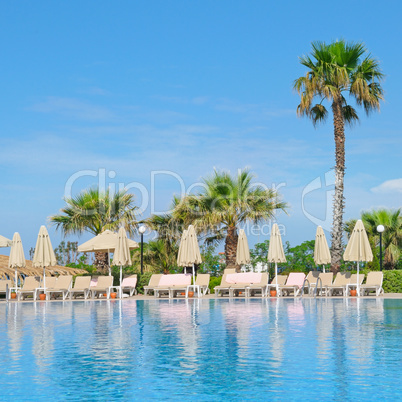 outdoor swimming pool, palm trees and sun loungers