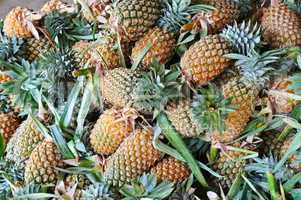 background of fresh juicy pineapples
