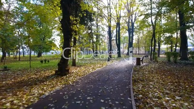 Aerial footage of autumnal nature scenery in city park