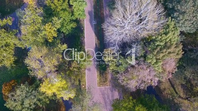 Aerial view of autumnal nature scenery in city park