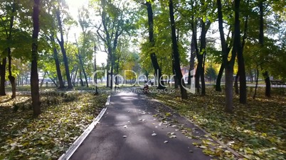 Aerial view of autumnal nature scenery in city park