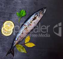 Whole fresh mackerel with spices and lemon on a black background