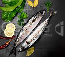 Two fresh mackerel in spices