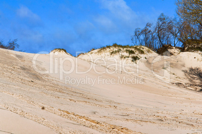 dune, sandy, Kaliningrad, Russia, spit, hill, hill, high