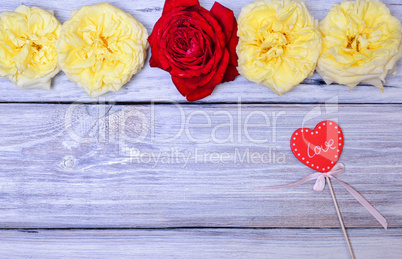 Buds of roses on a white wooden background