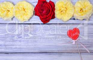 Buds of roses on a white wooden background